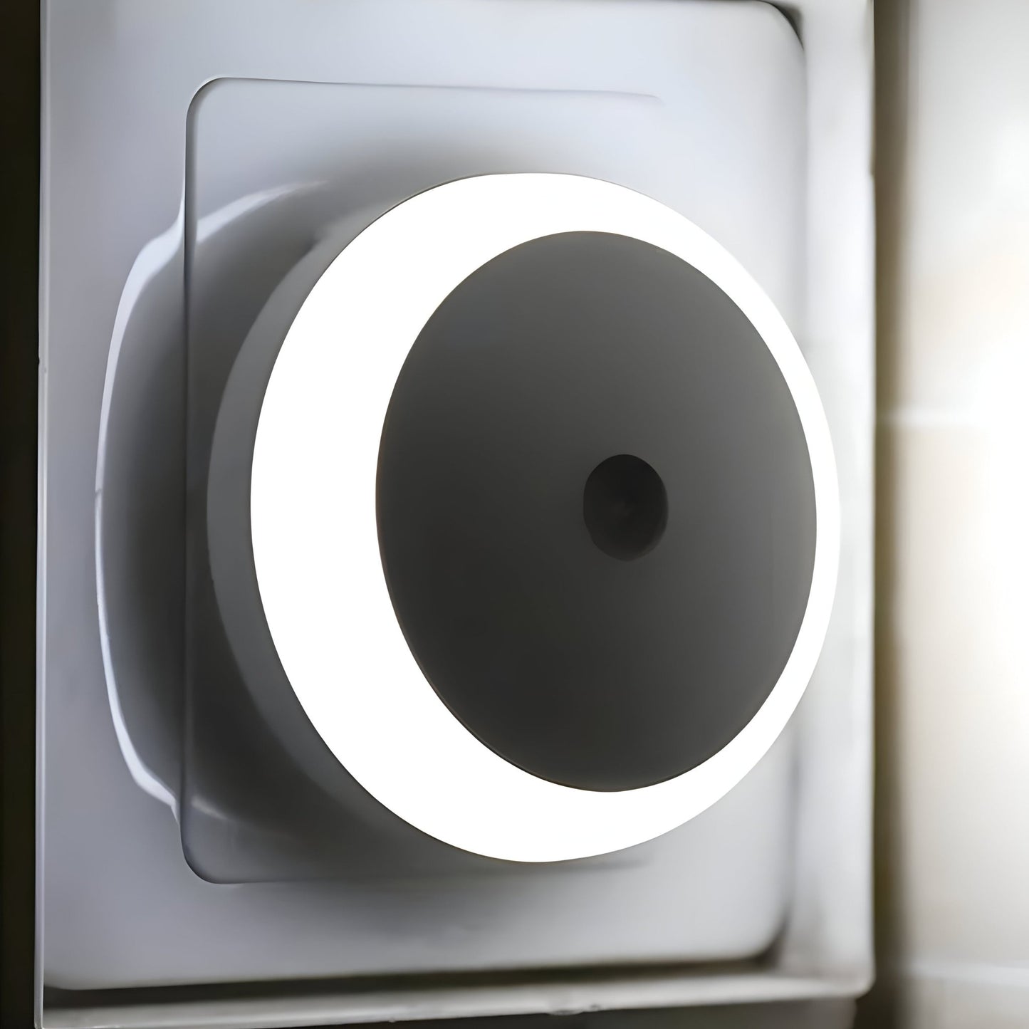 GlowBee - Plug - in LED Night Light - VeleHome™