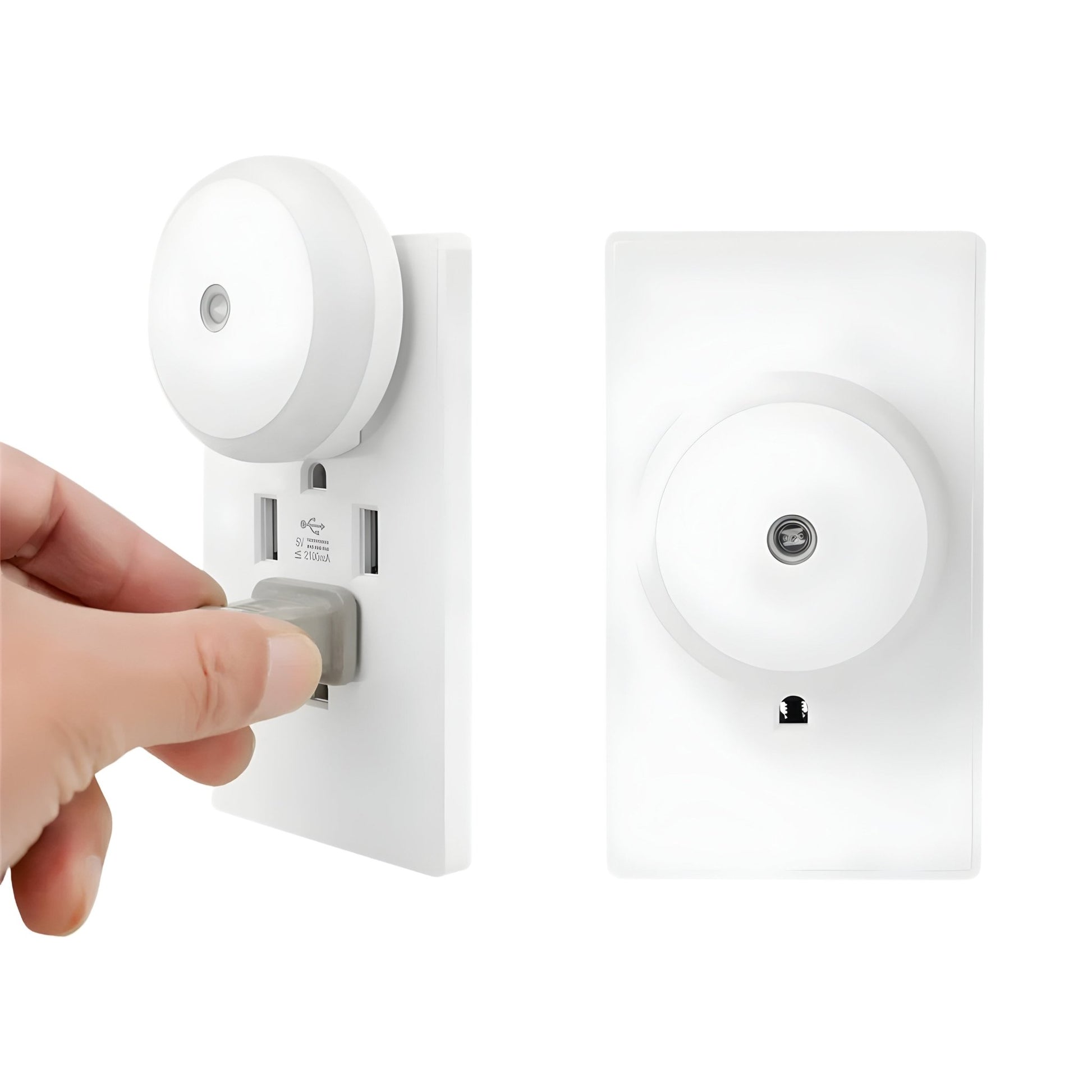 GlowBee - Plug - in LED Night Light - VeleHome™