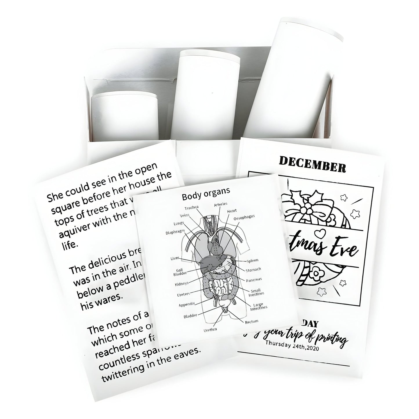 PrintGo's Adhesive Paper Rolls - VeleHome™